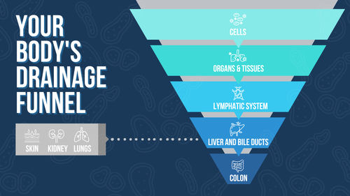 Your Drainage Funnel